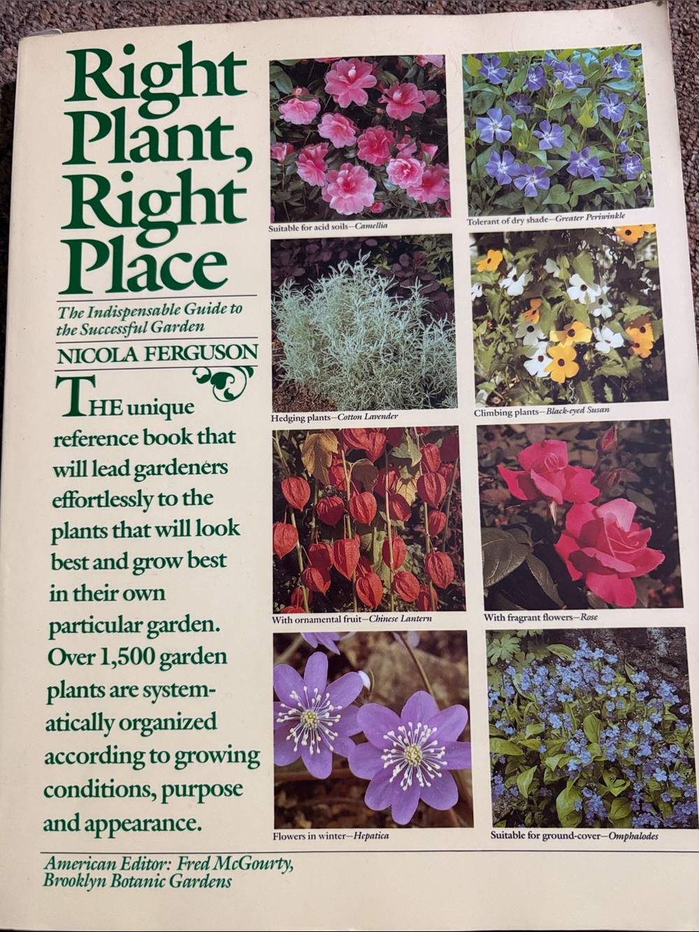 Right Plant, Right Place by - White/Green Garden Guide